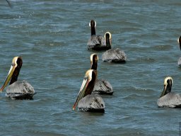 USA_Mexico2006-2007-041